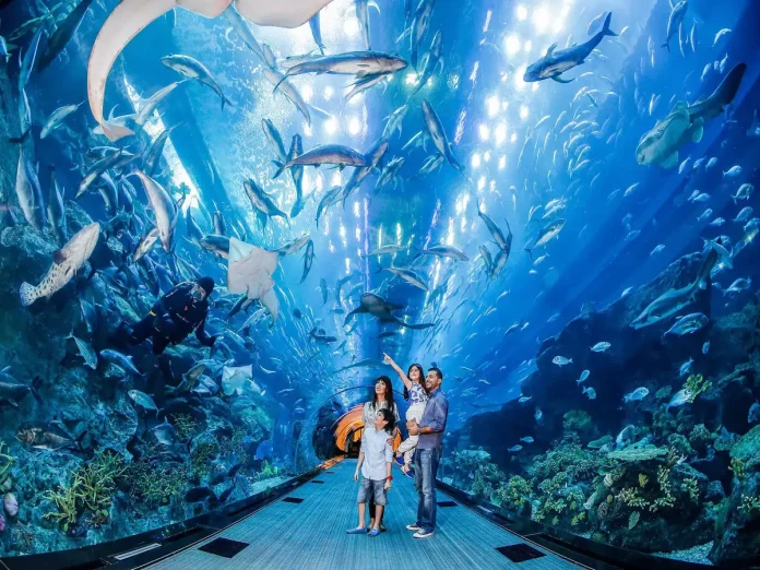 Dubai mall aquarium tickets