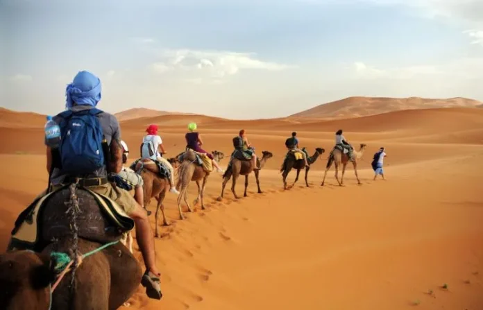 Morocco Desert Tour sibling bags