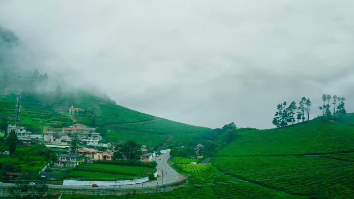 ooty