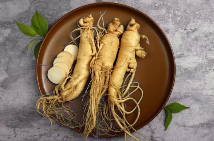 Ginseng